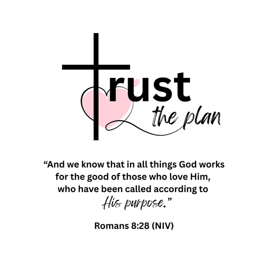 Trust the Plan Romans Hoodie (p)
