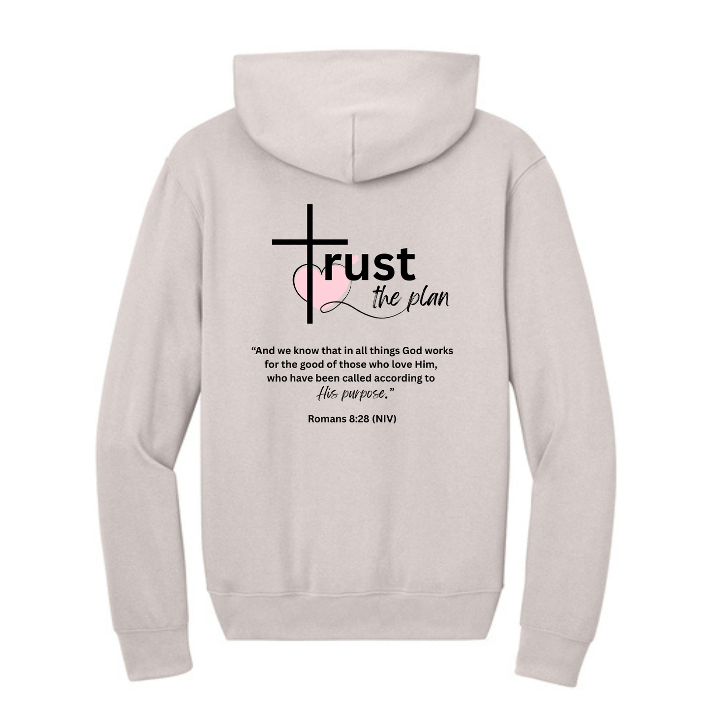 Trust the Plan Hoodie
